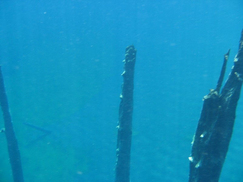 ../Images/ClearLake0607 013.jpg